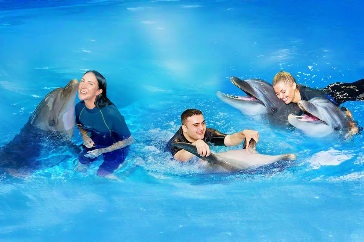 Side Swimming with Dolphins | Both Way Transfer is Included
