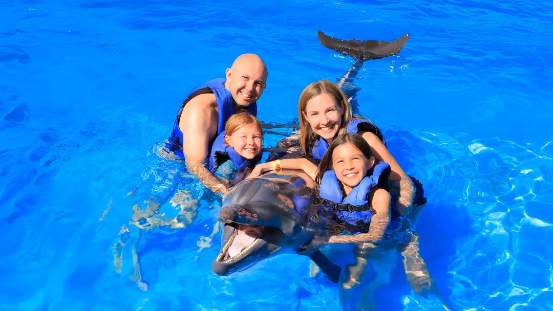 Side Swimming with Dolphins | Both Way Transfer is Included